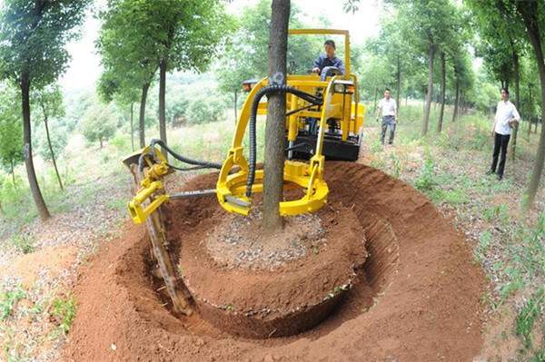 起苗深度 起苗深度